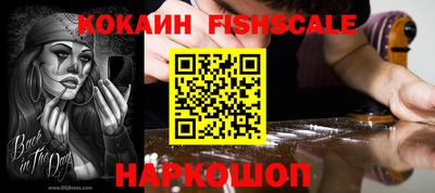 индика Дубна