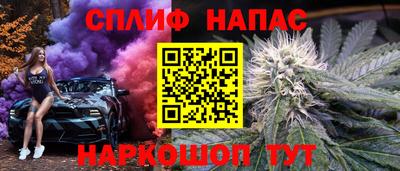 индика Дубна