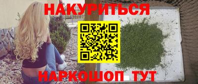 индика Дубна