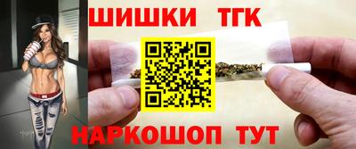 индика Дубна