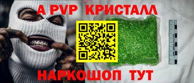 индика Дубна