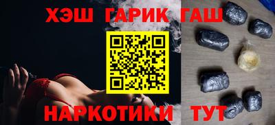 индика Дубна