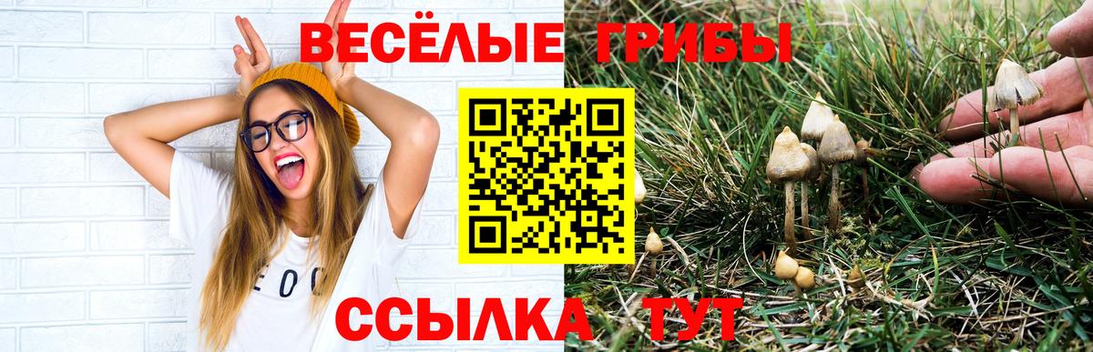 Мыски  Галлюциногенные грибы прущие грибы  Галлюциногенные грибы Psilocybe  Вход с VPN 